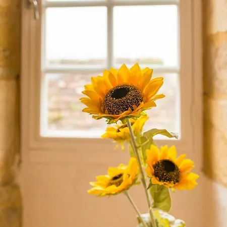 Au Coeur De Beynac, Maison De Caractere Avec Jardin Terrasse *